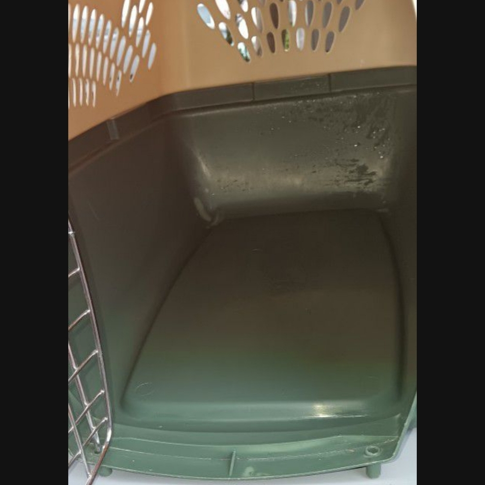 Pet Carrier